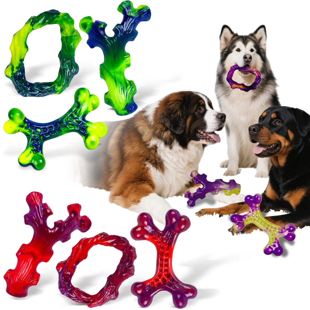 Chew Toys