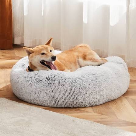 Dog Beds