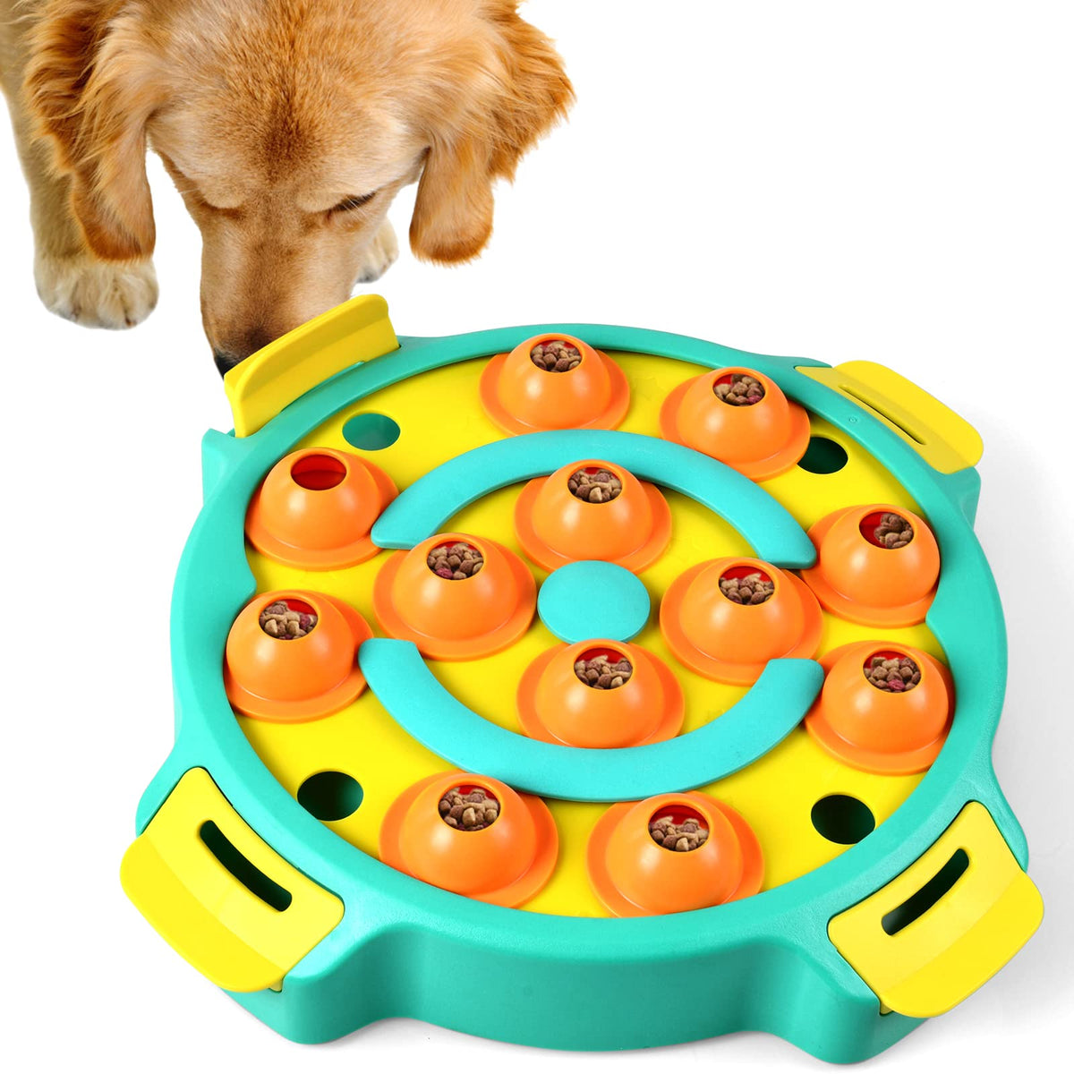 Interactive Toys