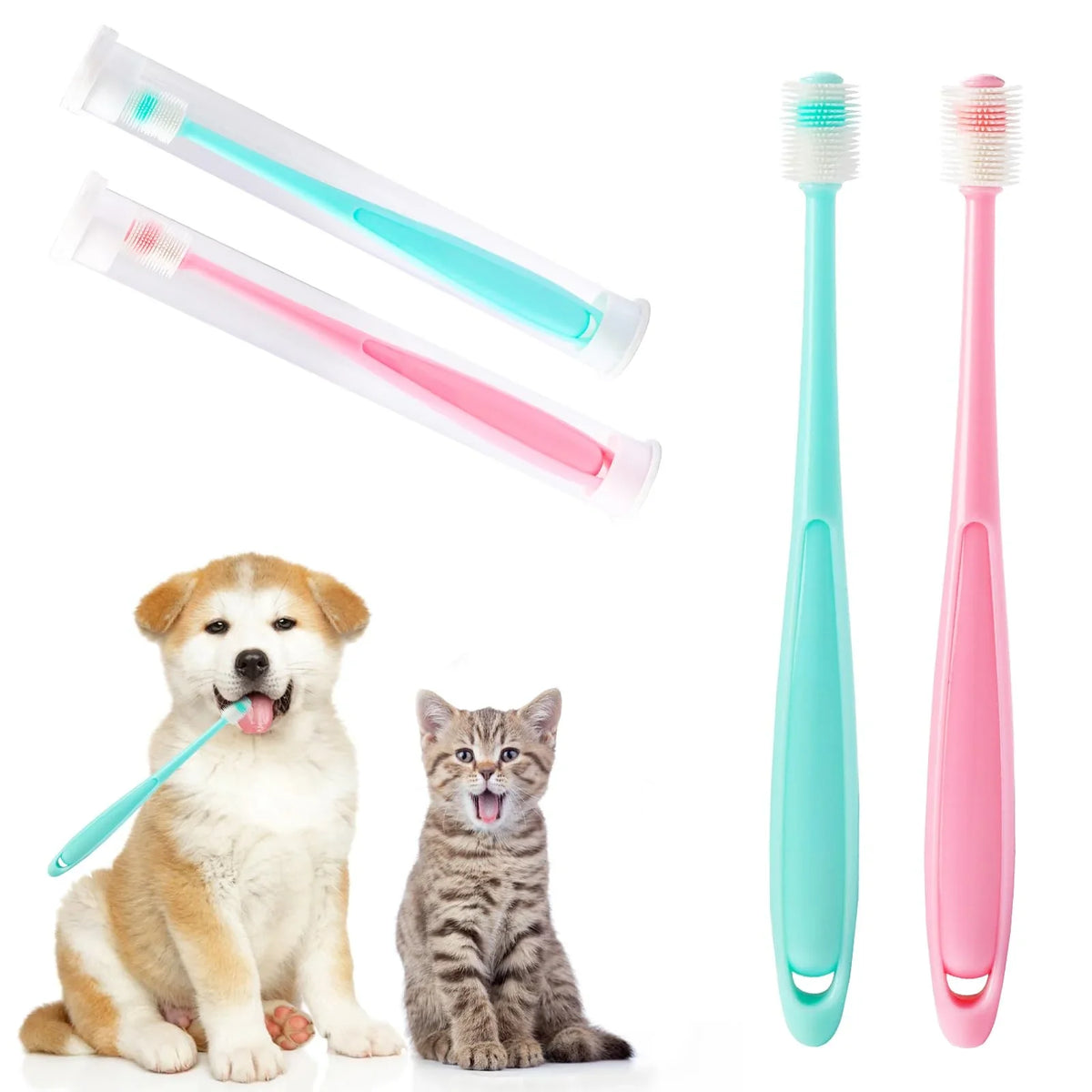 Pet Hygiene
