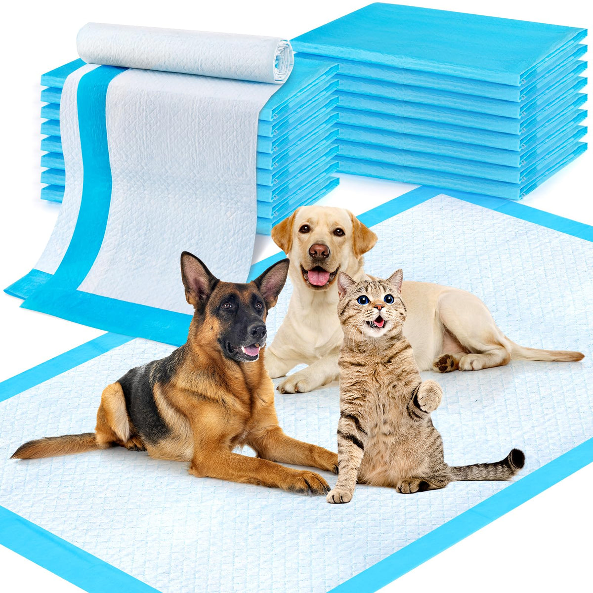 Pet Potty Pads