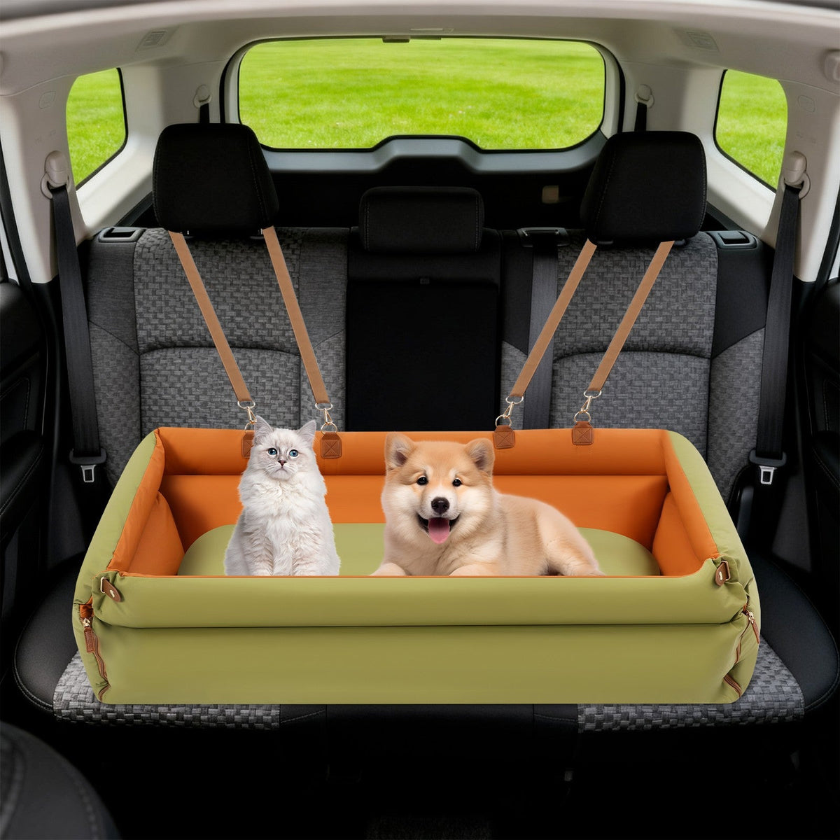 Pet Travels