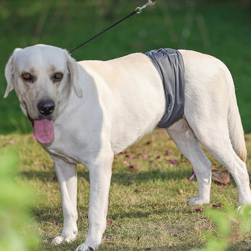 Reusable Dog Diaper (2pack) Washable Graphene Male Dog Belly Wrap Antibacterial Absorbent Pet Waist Band Leakproof Sanitary Pant