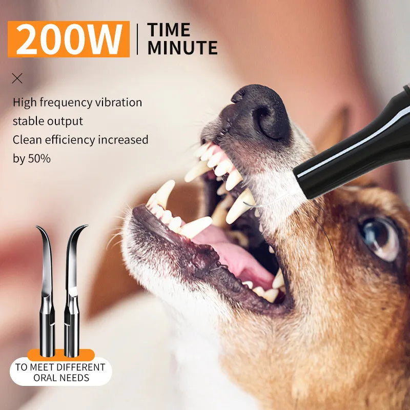 Ultrasonic Portable Electric Dog Toothbrush Professional Plaque Calculus Removal Teeth Whitening for Pet Dental Care