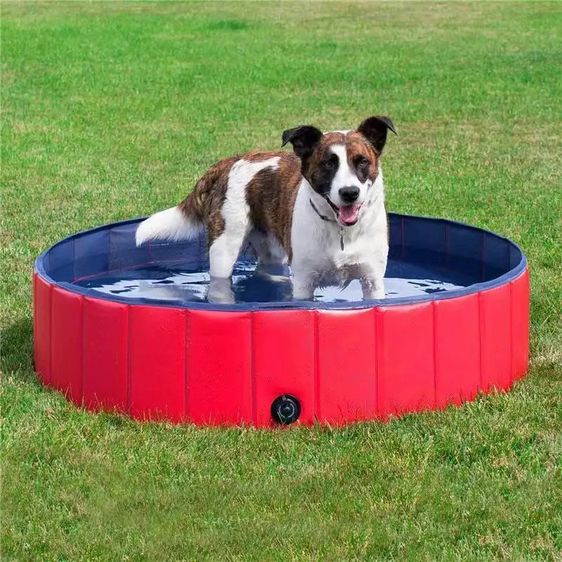 foldable cat dog  pool toy   play  water  bath tub dogs cats summer Cool Pet Cleaning Basin Children's Popo Pool Bathing Tub PVC